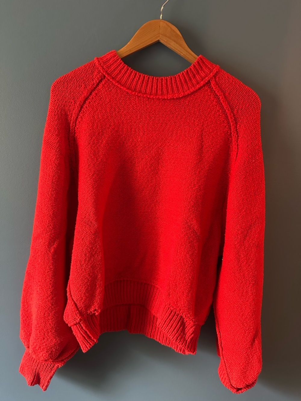 Free People Red Crewneck Sweater
